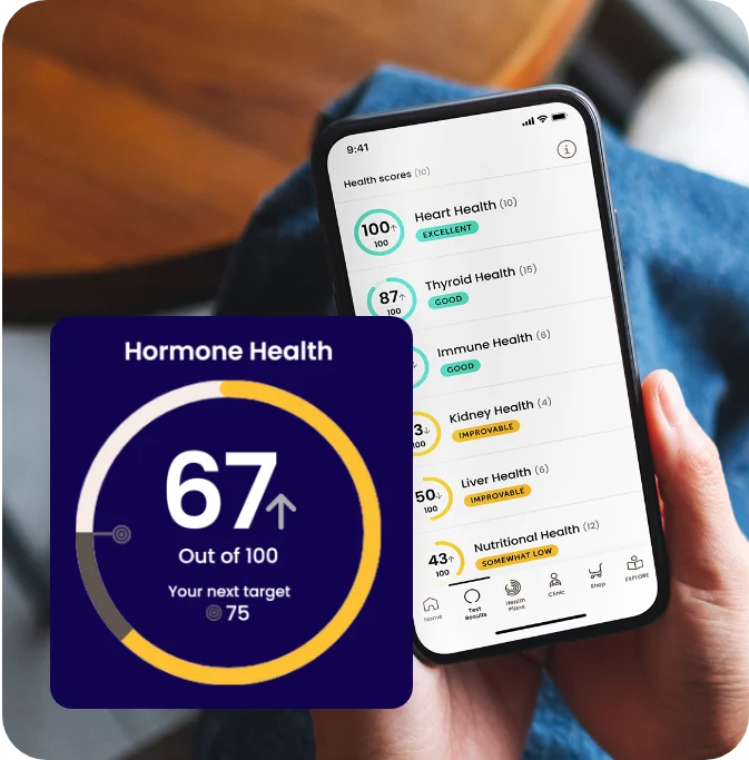 ForthConnect Translate Data Into Insights